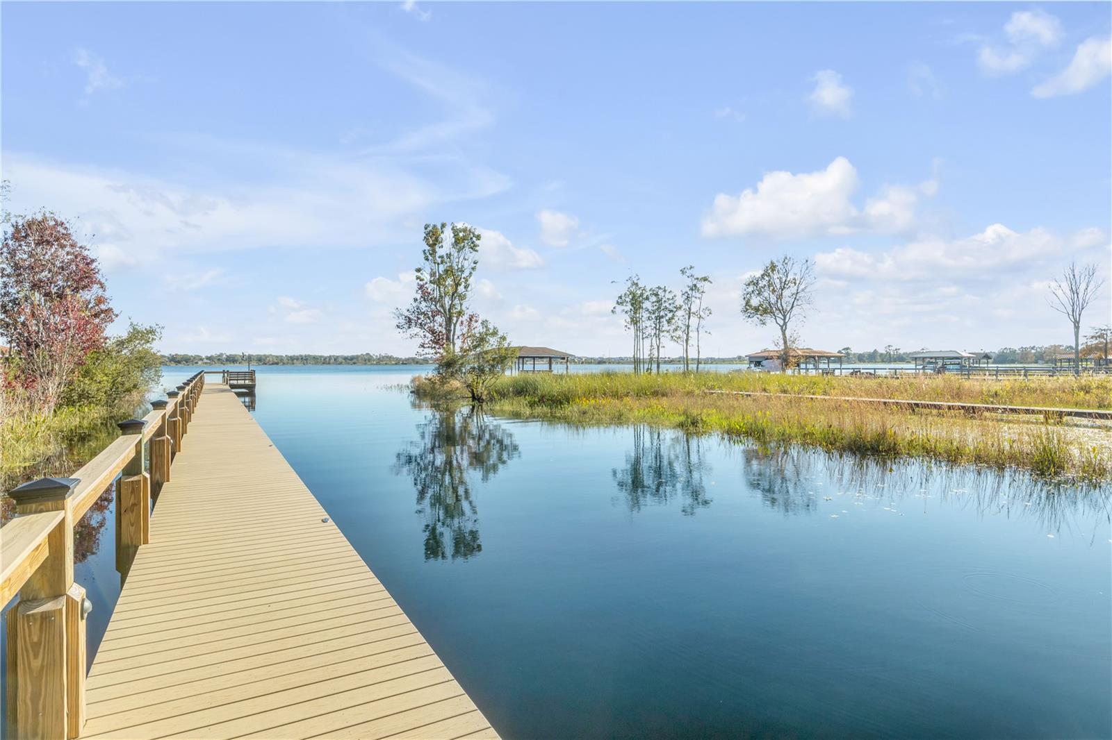 3029 ISOLA BELLA BOULEVARD, Mount Dora, FL 32757