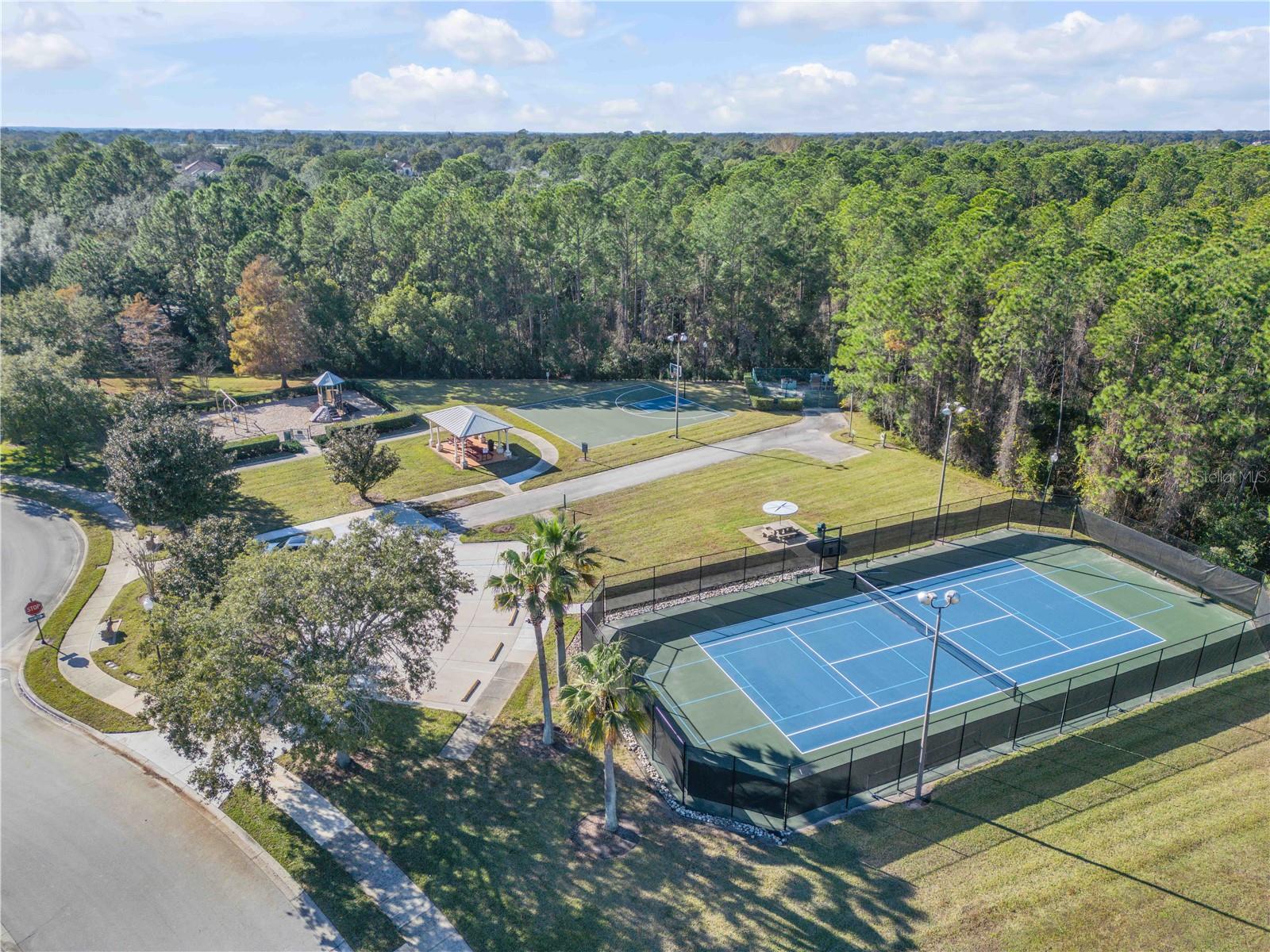 3029 ISOLA BELLA BOULEVARD, Mount Dora, FL 32757