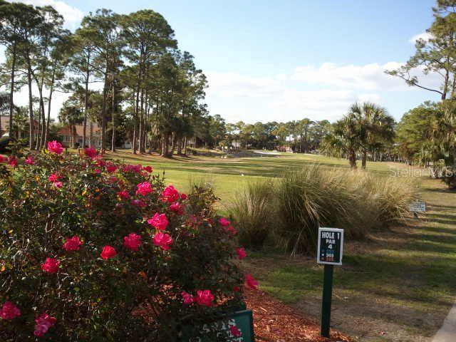 10 EAGLE LANE, New Smyrna Beach, FL 32168