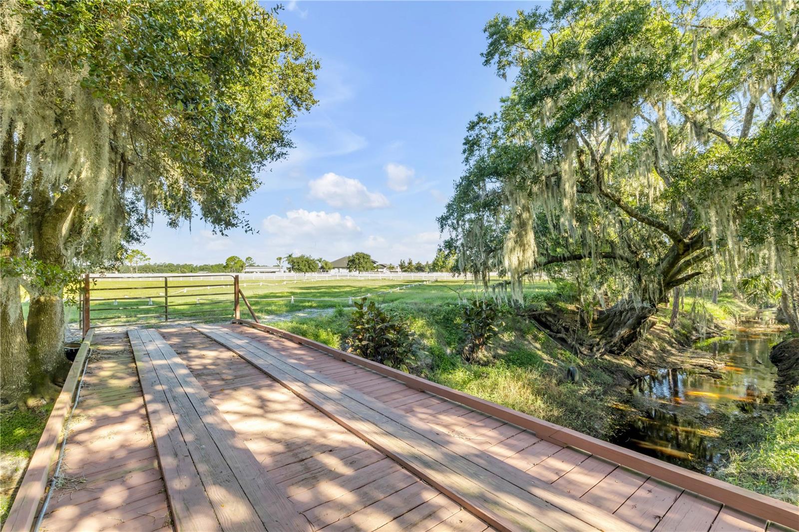 bridge over creek
