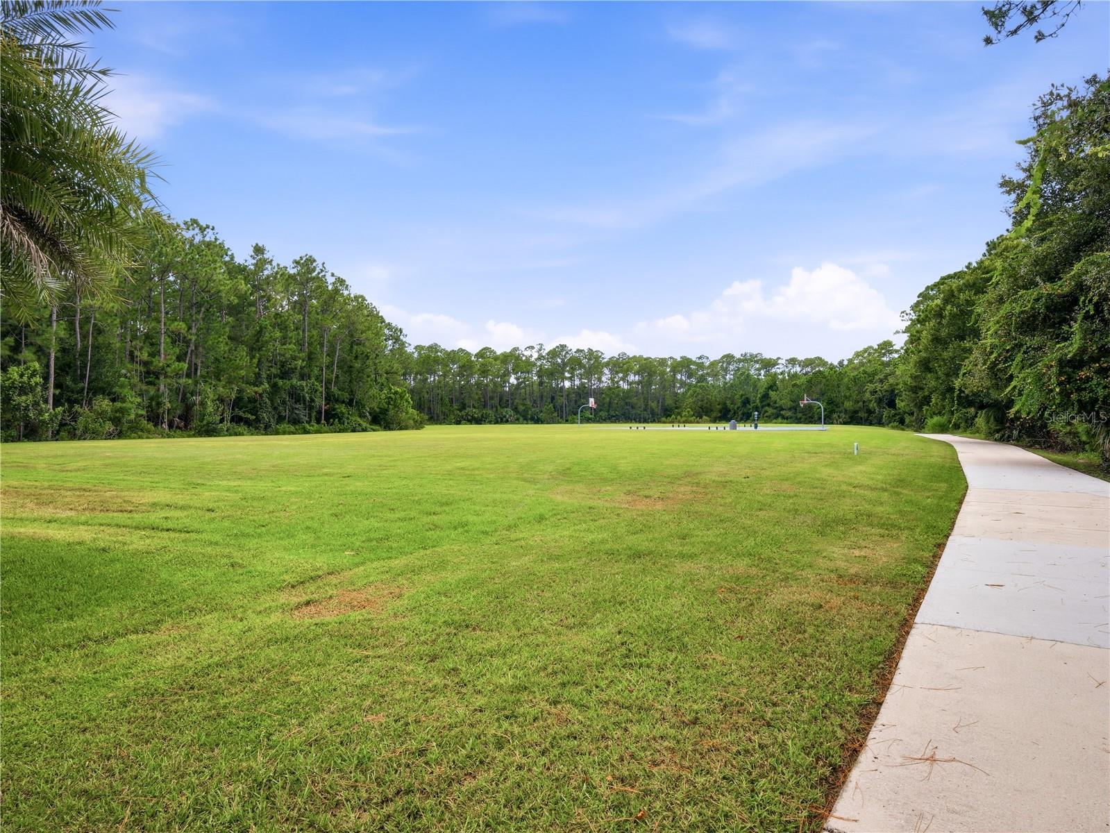 3303 BELLINO BOULEVARD, New Smyrna Beach, FL 32168