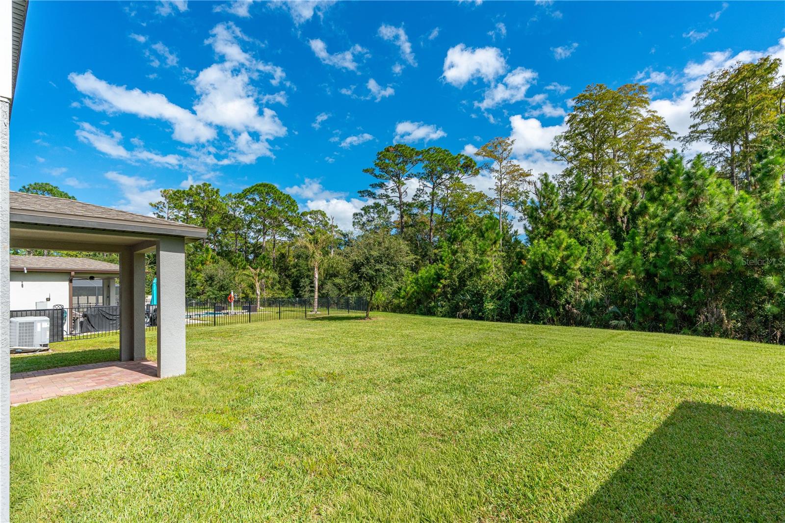Large Backyard