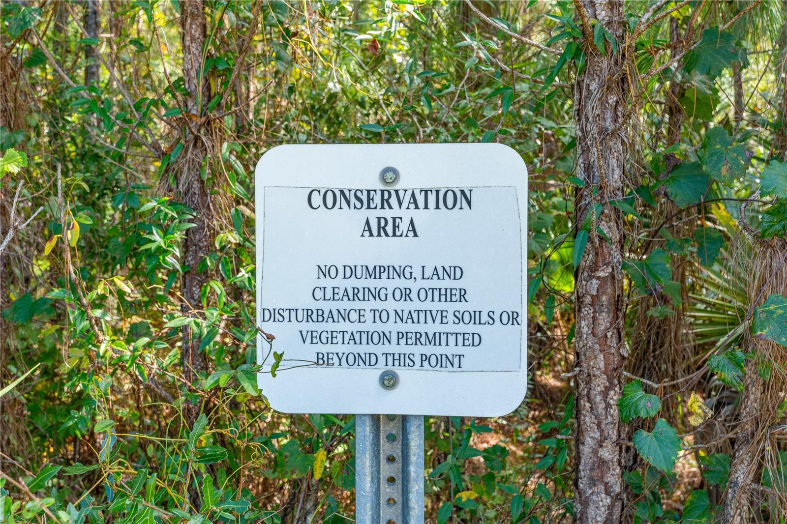 Backs up to Conservation