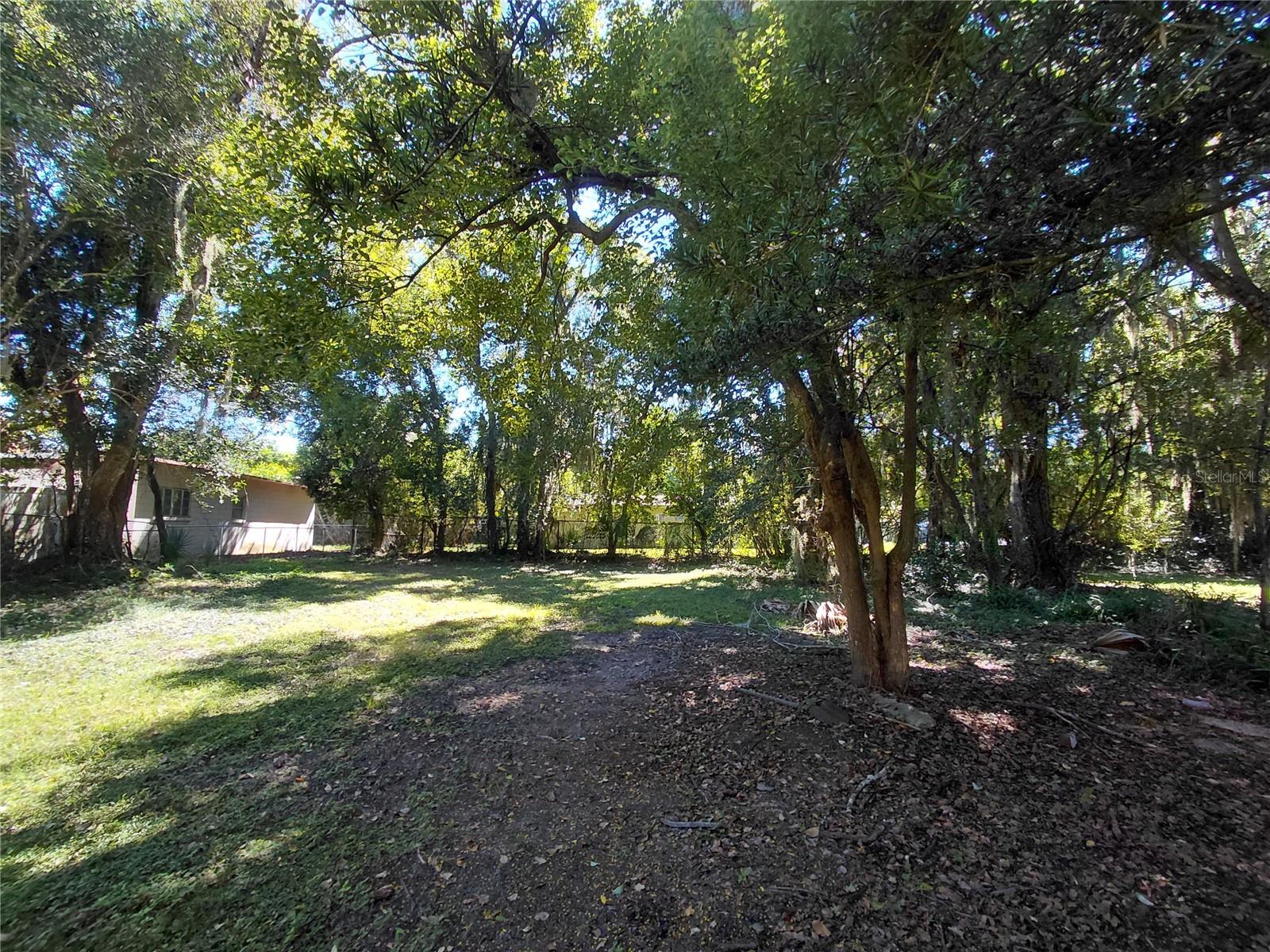 Back Yard