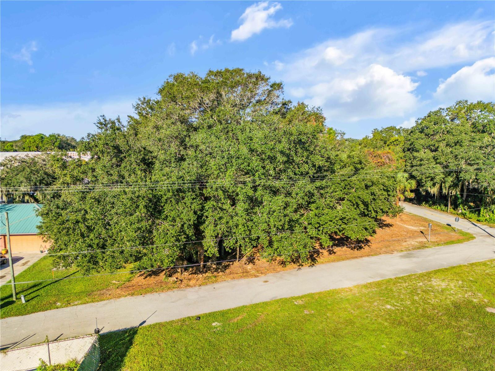 0 DIXIE LANE, Oak Hill, FL 32759 0 DIXIE LANE, Oak Hill, FL 32759