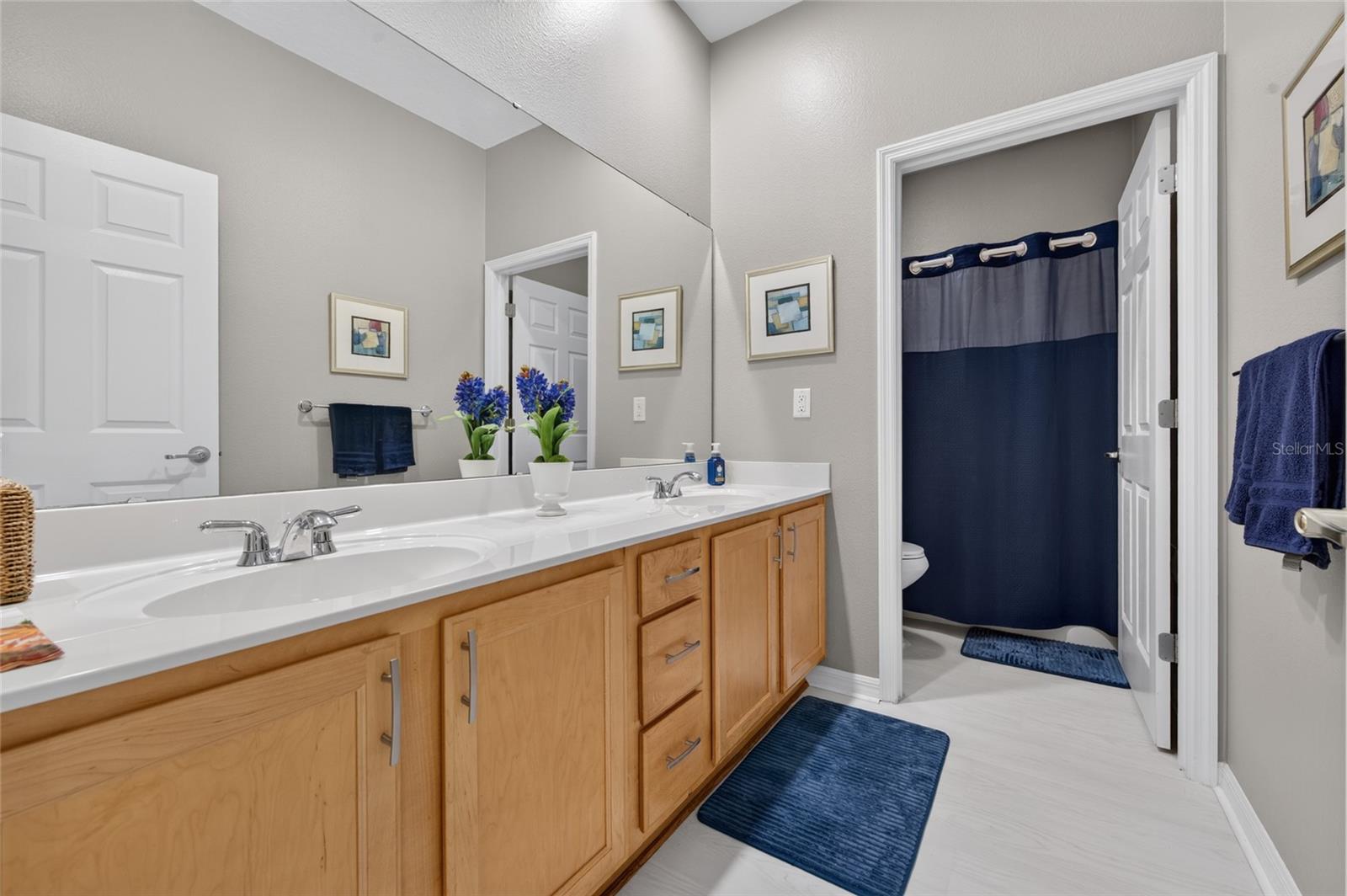 481 LUNA BELLA LANE, New Smyrna Beach, FL 32168