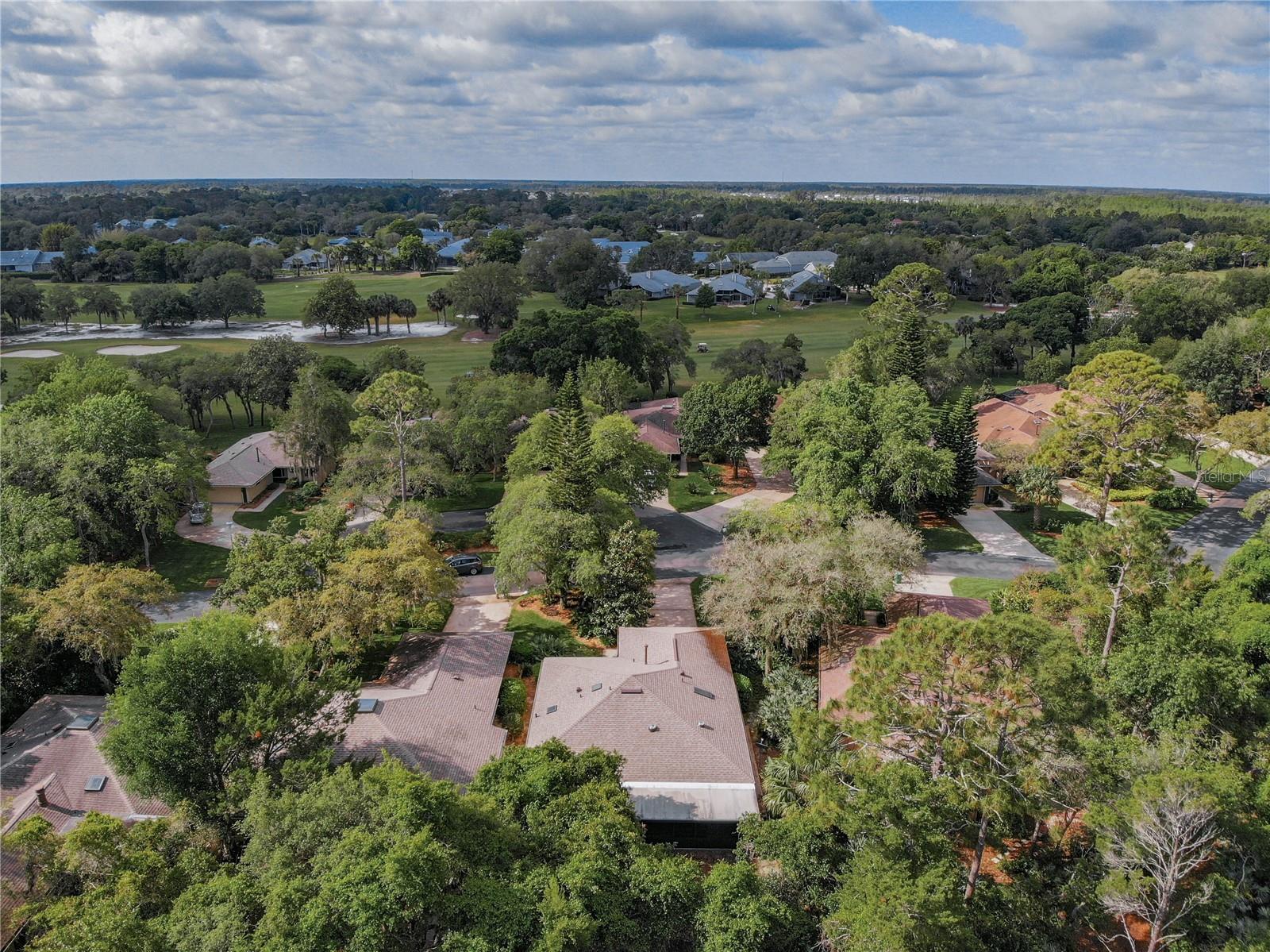 697 SAINT ANDREWS CIRCLE, New Smyrna Beach, FL 32168