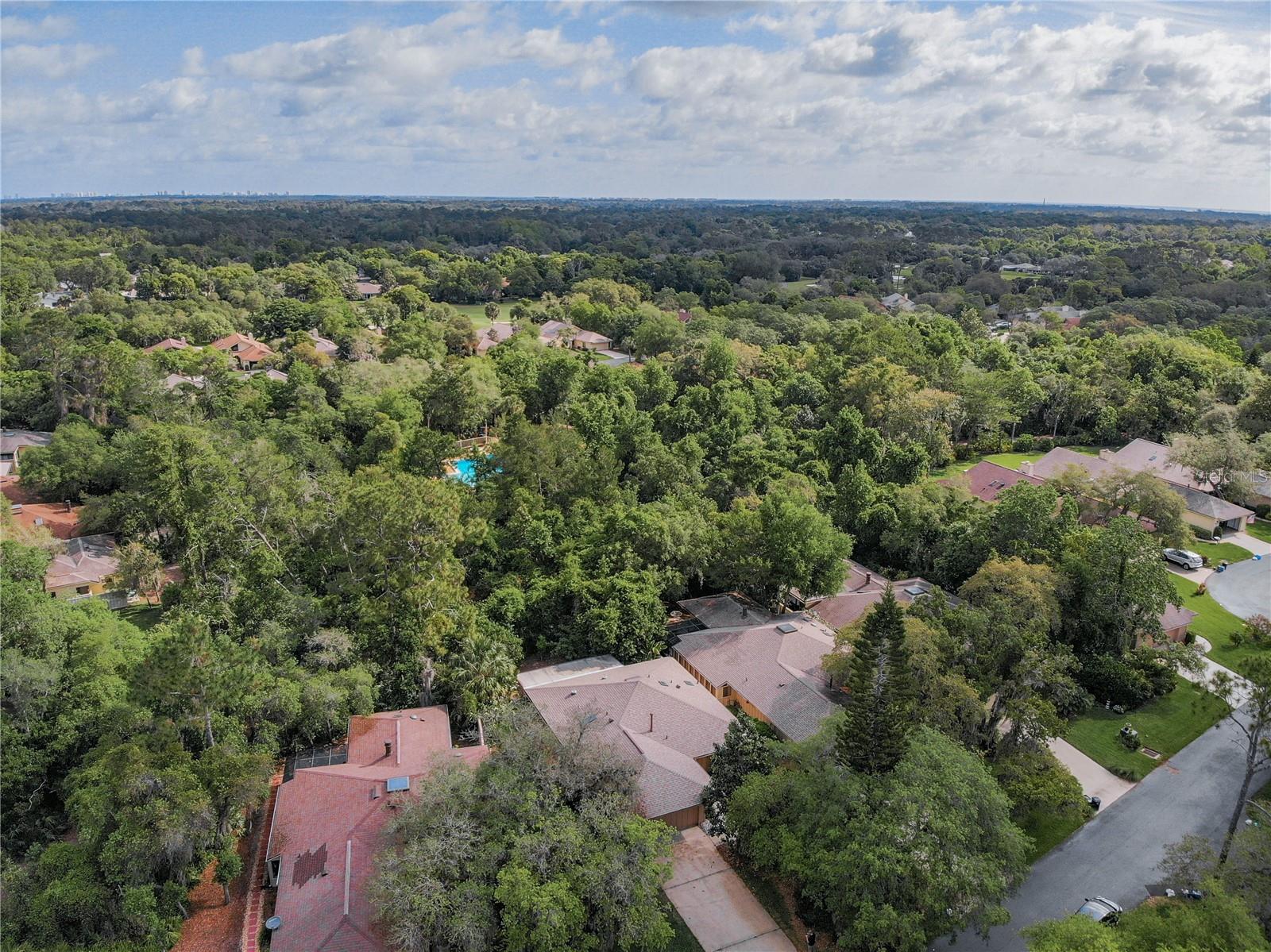 697 SAINT ANDREWS CIRCLE, New Smyrna Beach, FL 32168