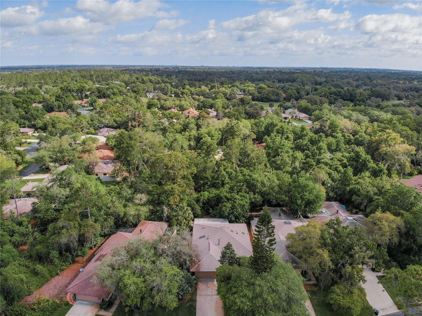 697 SAINT ANDREWS CIRCLE, New Smyrna Beach, FL 32168