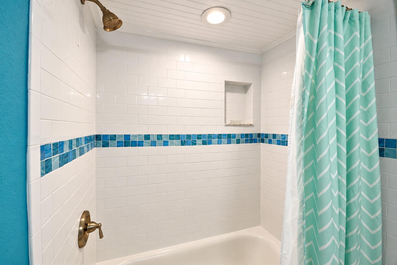 Guest bathroom shower and tub.