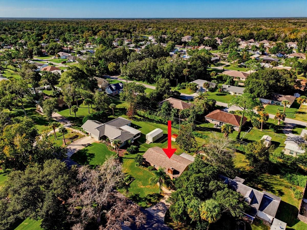 2226 VISTA PALM DRIVE, Edgewater, FL 32141
