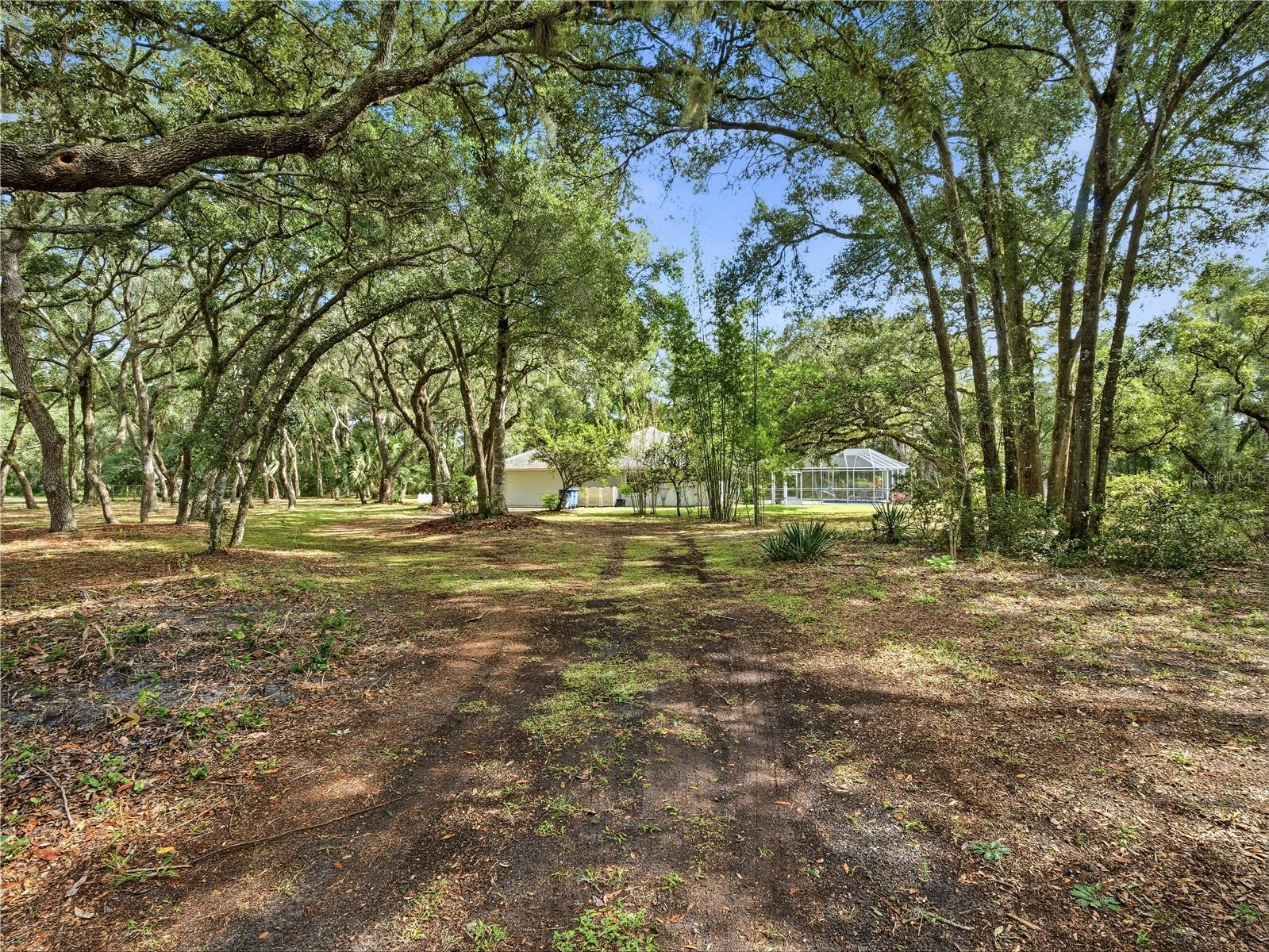 3650 WOODBRIDGE ROAD, Deland, FL 32720