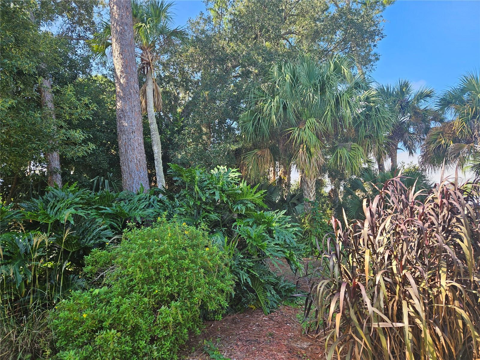Paths wind throughout lot