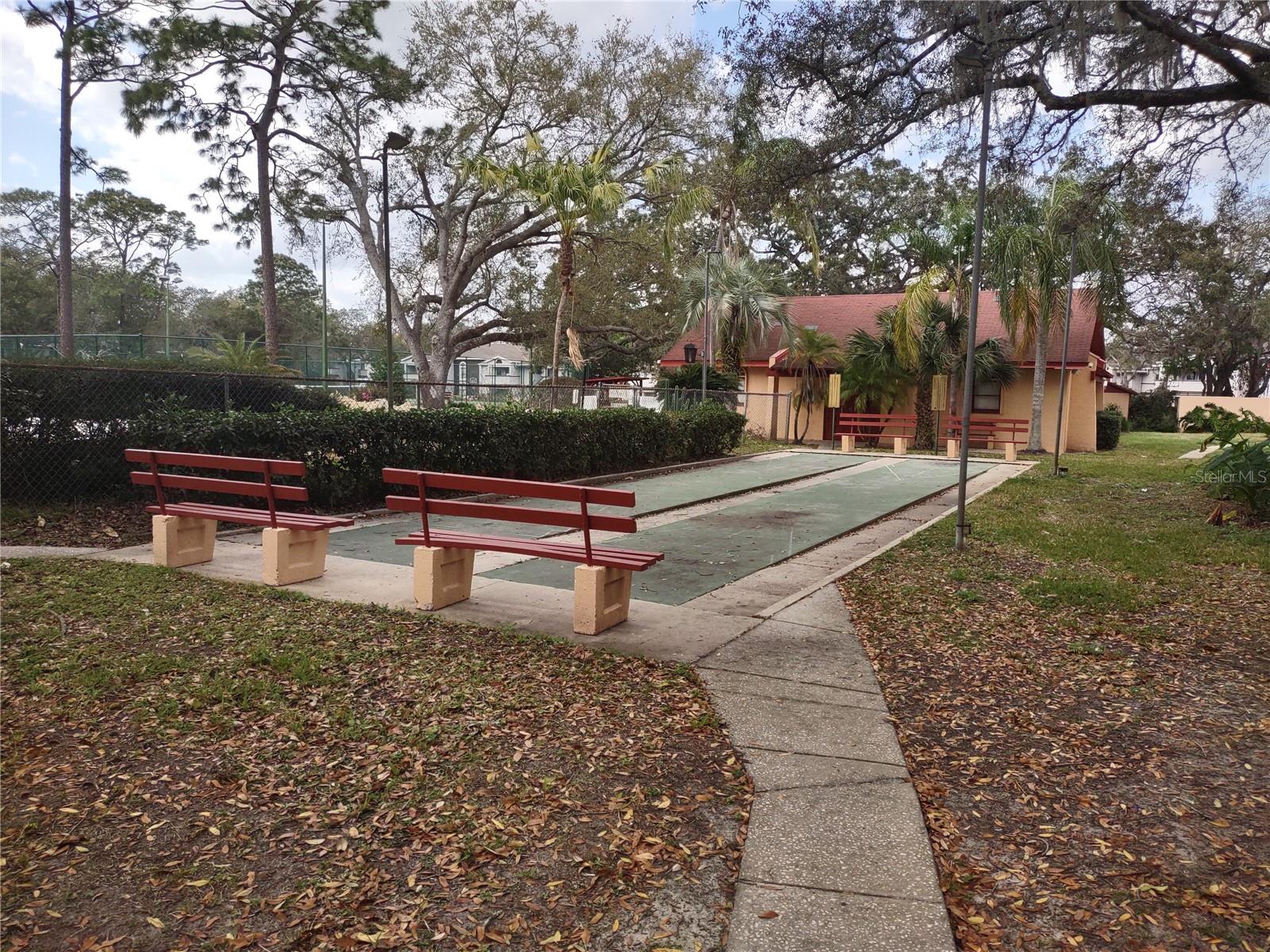 Shuffleboard
