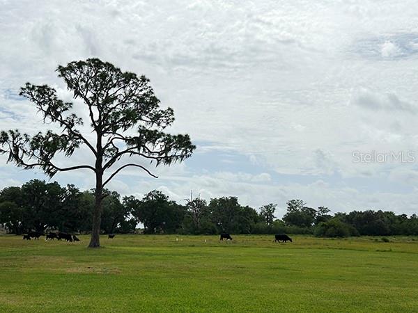 3650 LAKE TOHOPEKALIGA ROAD, St Cloud, FL 34772