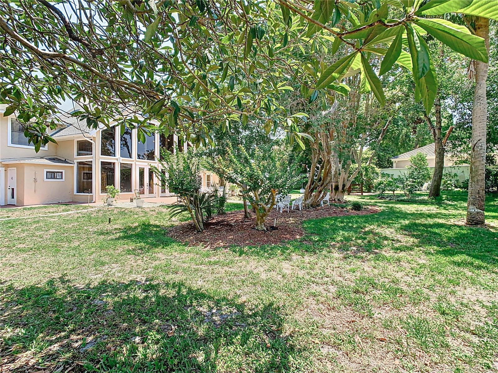 Backyard