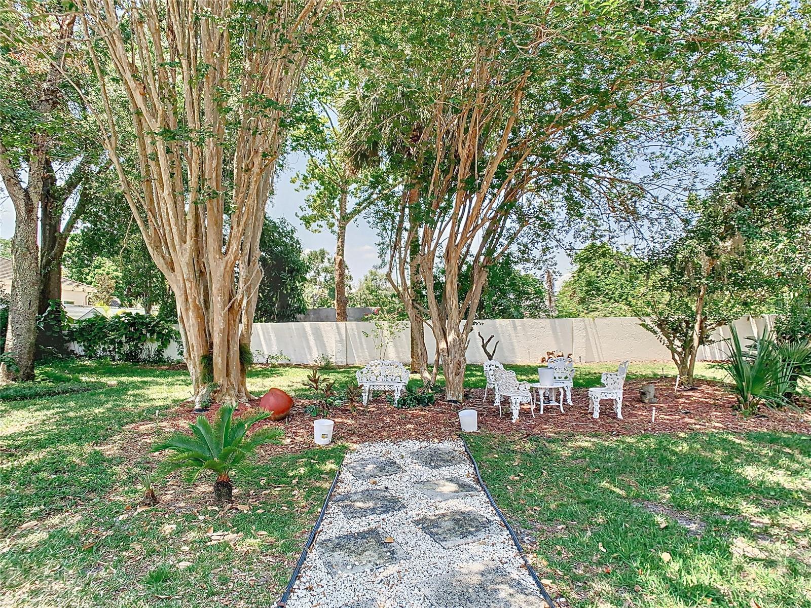Backyard