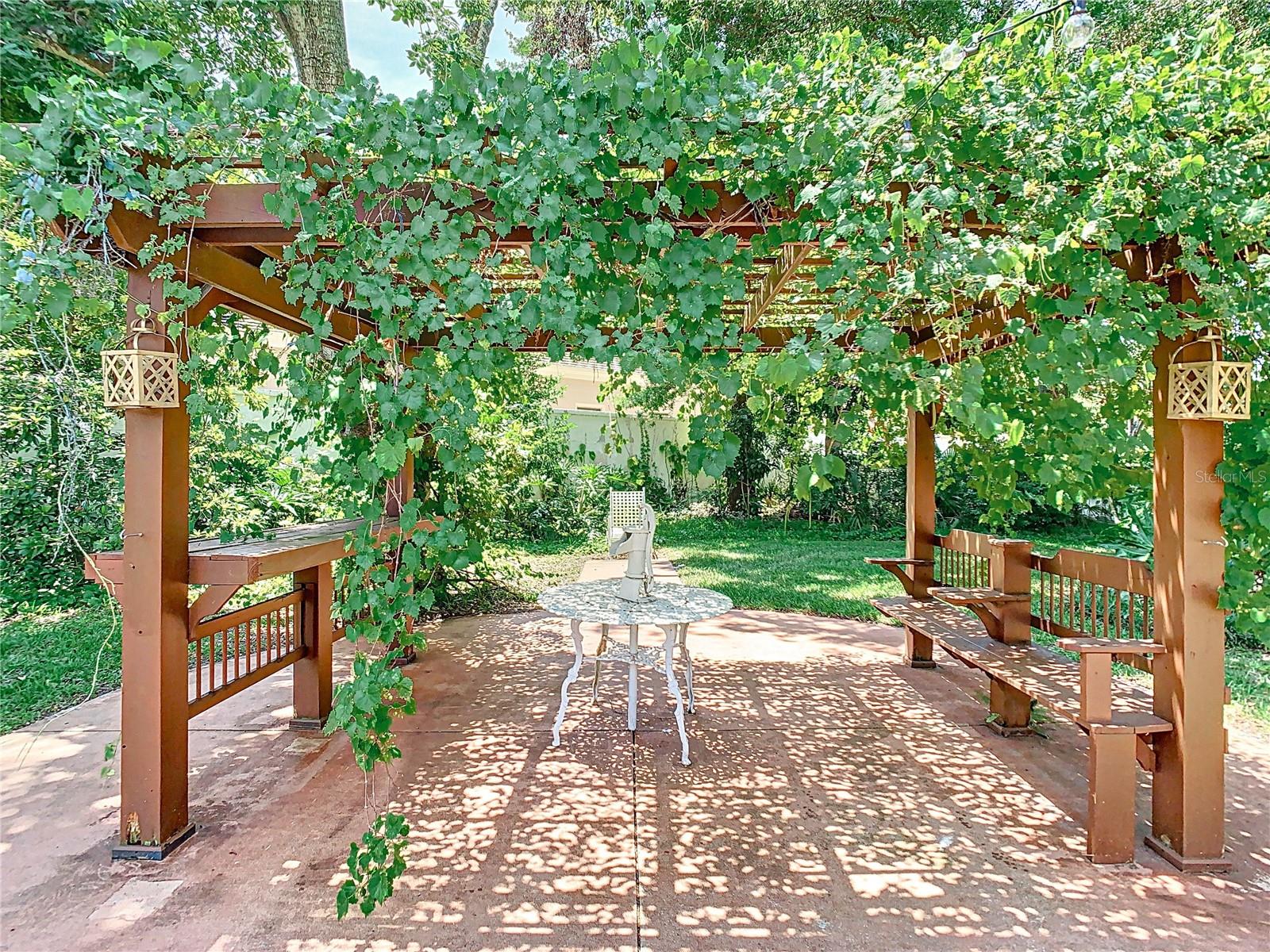 Backyard: Gazebo with Grapevines