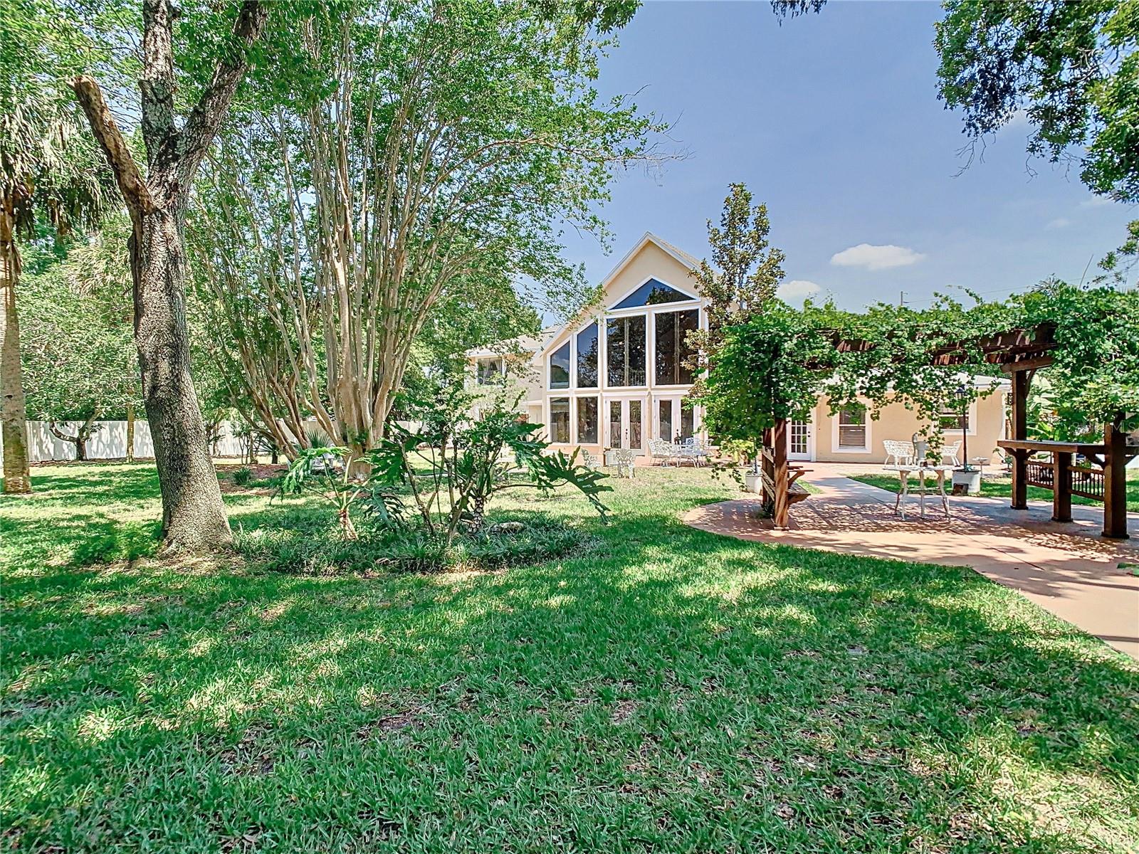 Backyard