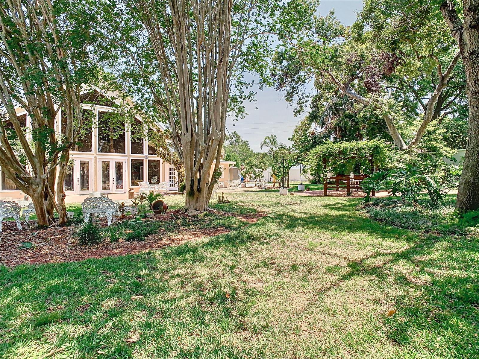 Backyard