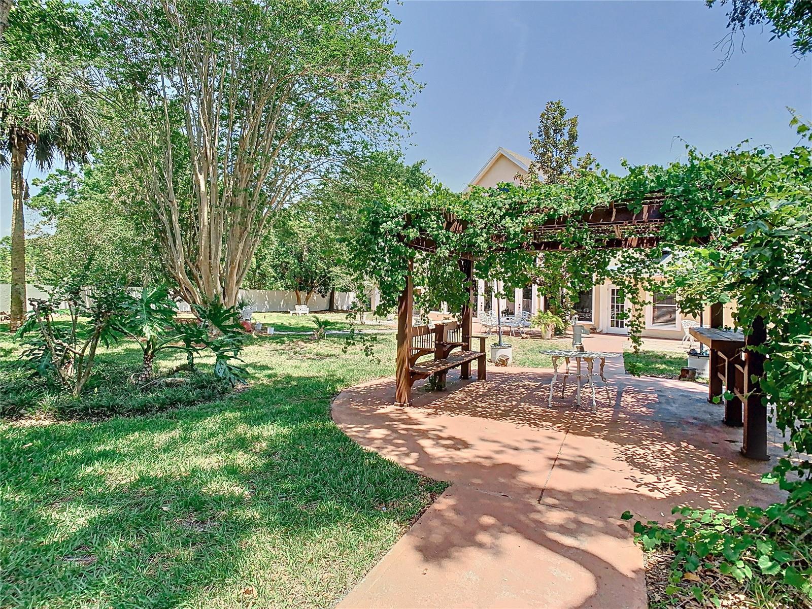Backyard