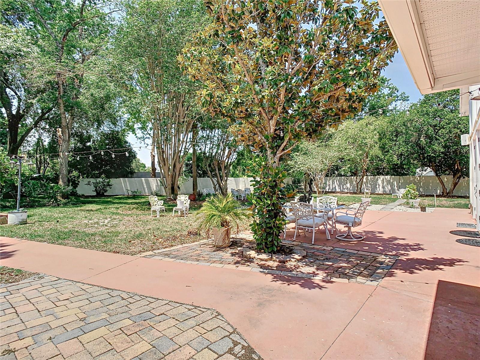 Backyard