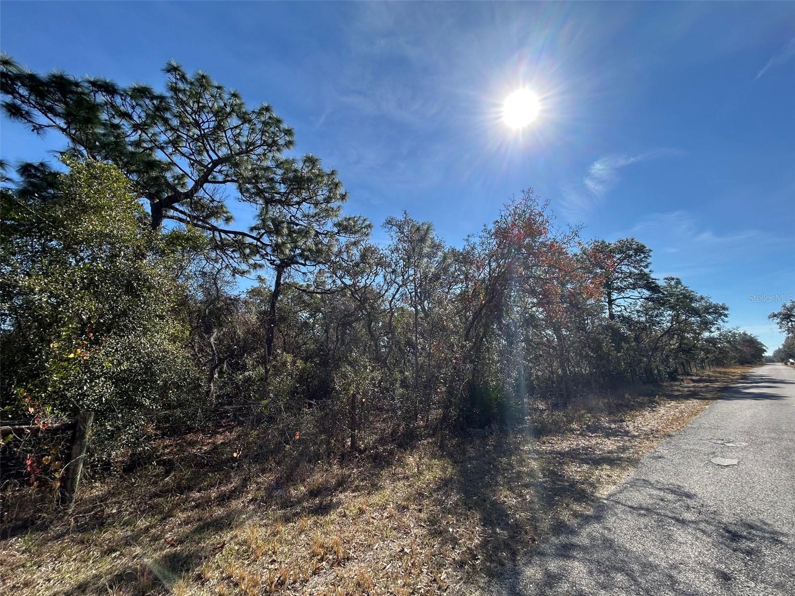 9940 BLACK BEAR LANE, Winter Garden, FL 34787