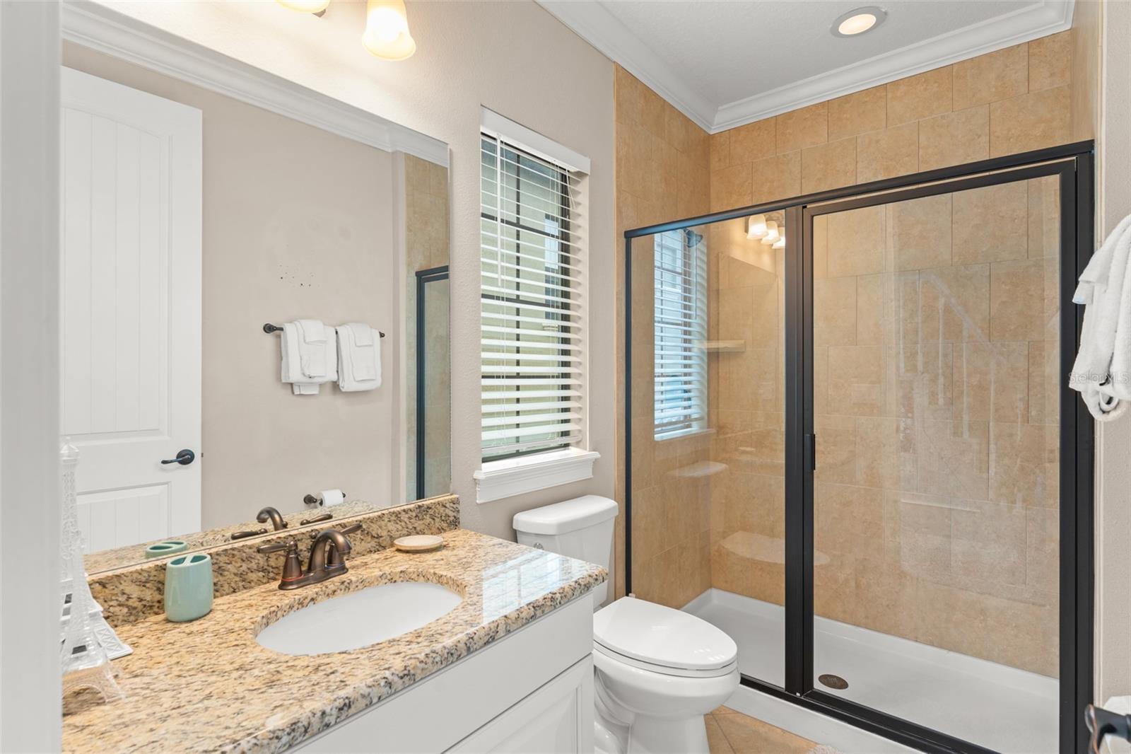 717 DESERT MOUNTAIN COURT, Reunion, FL 34747