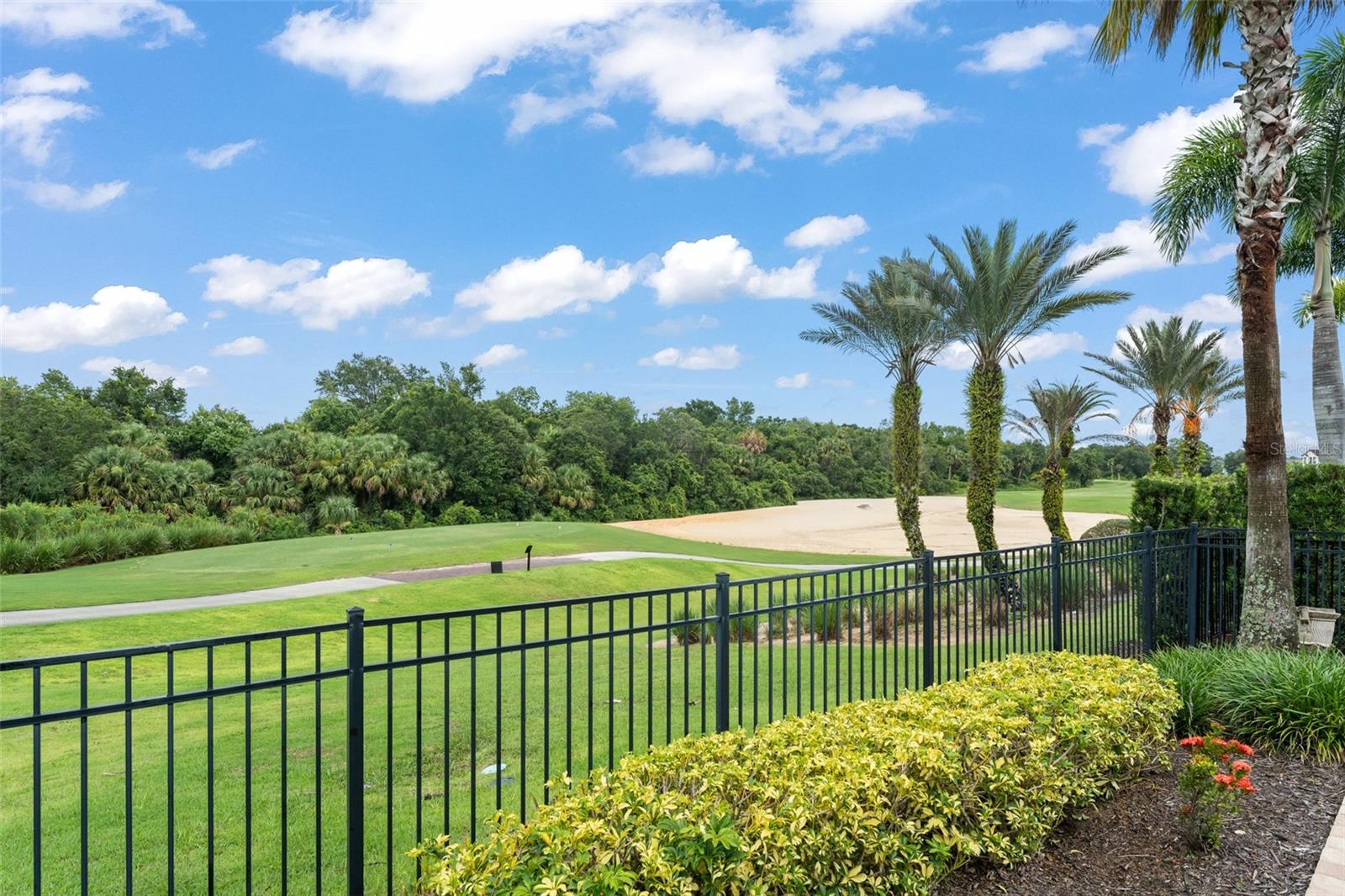 717 DESERT MOUNTAIN COURT, Reunion, FL 34747