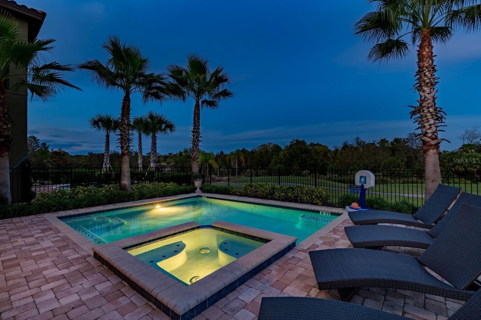 717 DESERT MOUNTAIN COURT, Reunion, FL 34747
