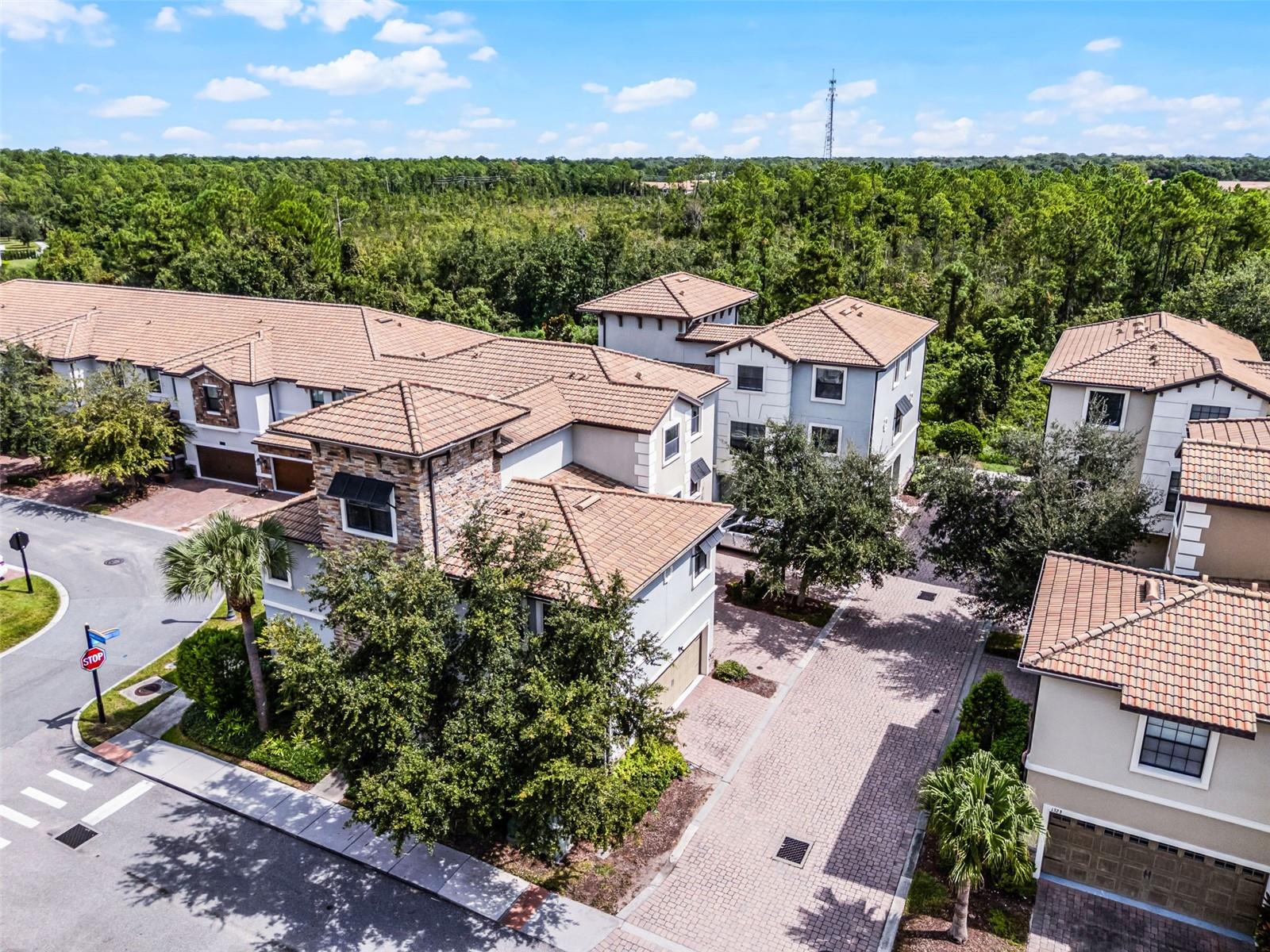 1317 SHINNECOCK HILLS DRIVE, Davenport, FL 33896