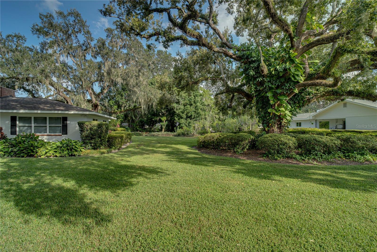241 N DILLARD STREET, Winter Garden, FL 34787