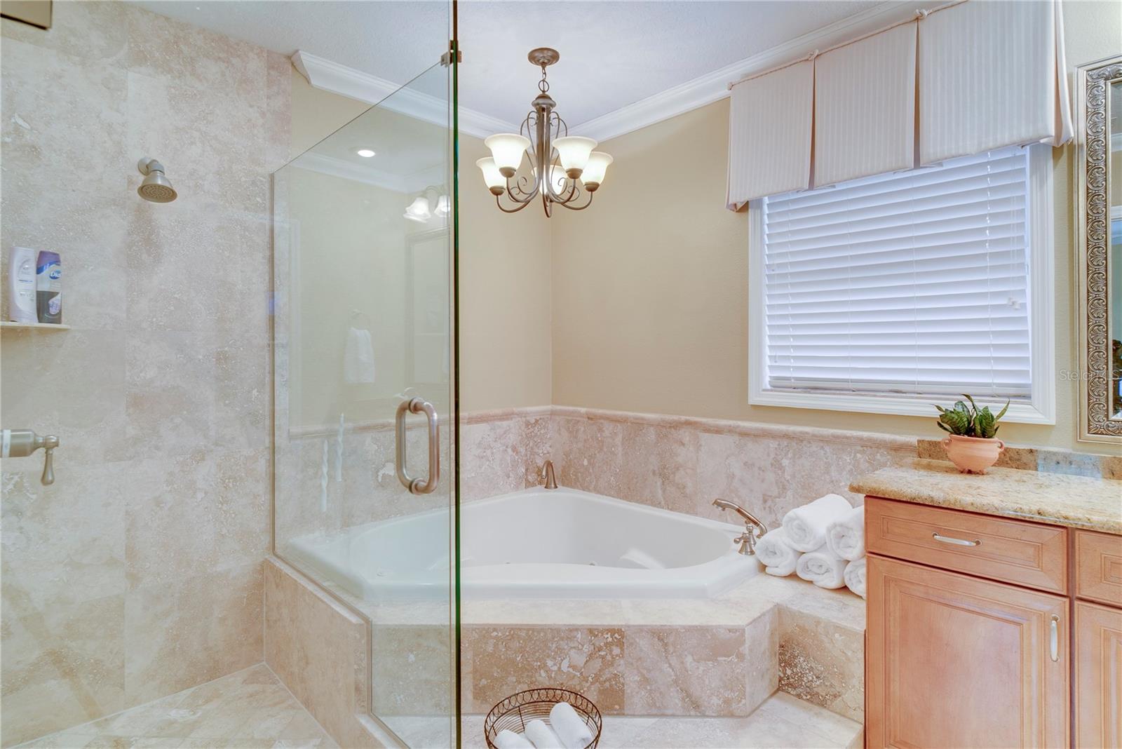 241 N DILLARD STREET, Winter Garden, FL 34787