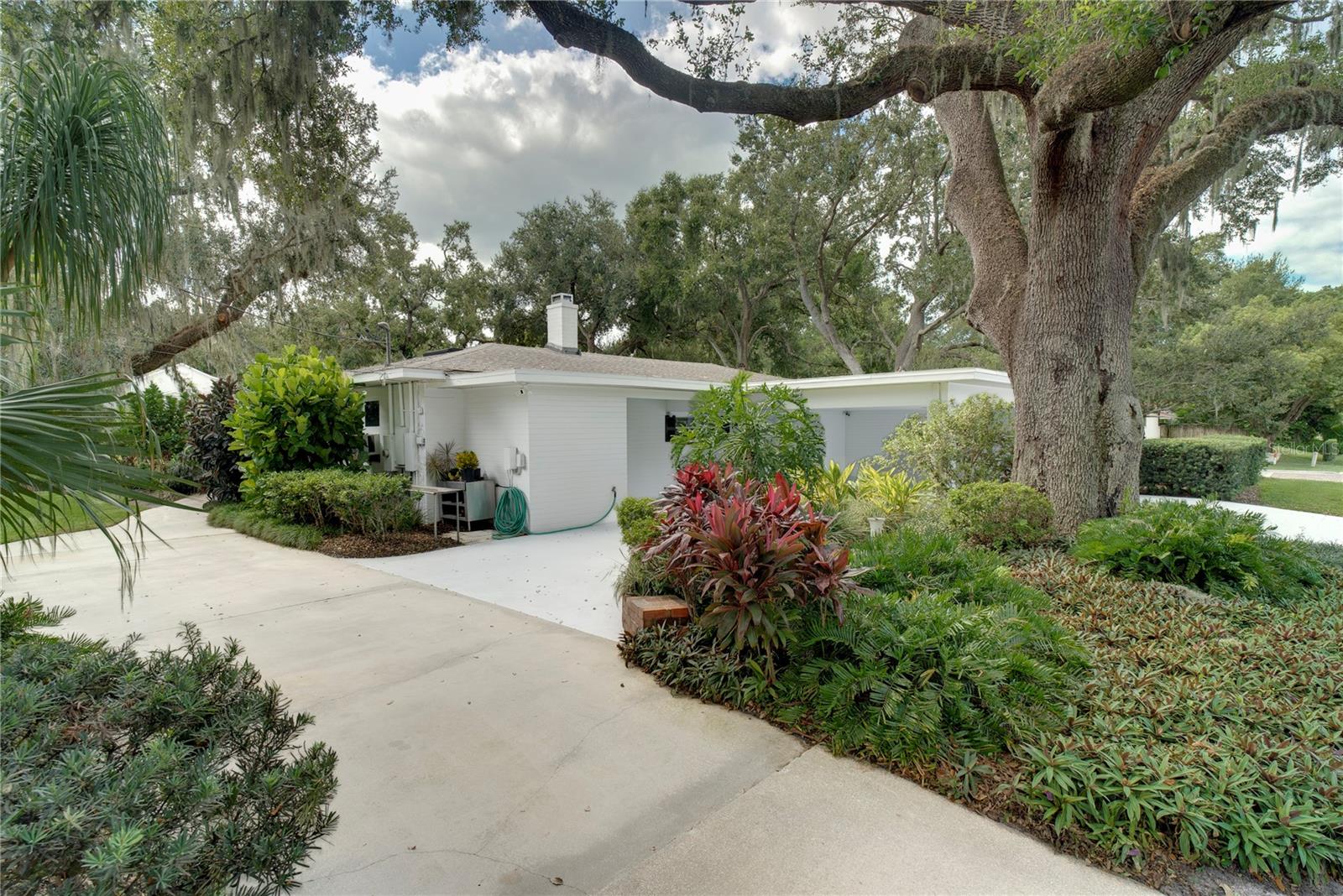 241 N DILLARD STREET, Winter Garden, FL 34787