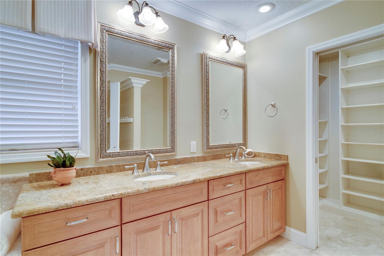 241 N DILLARD STREET, Winter Garden, FL 34787