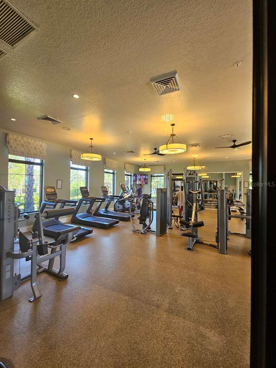gym