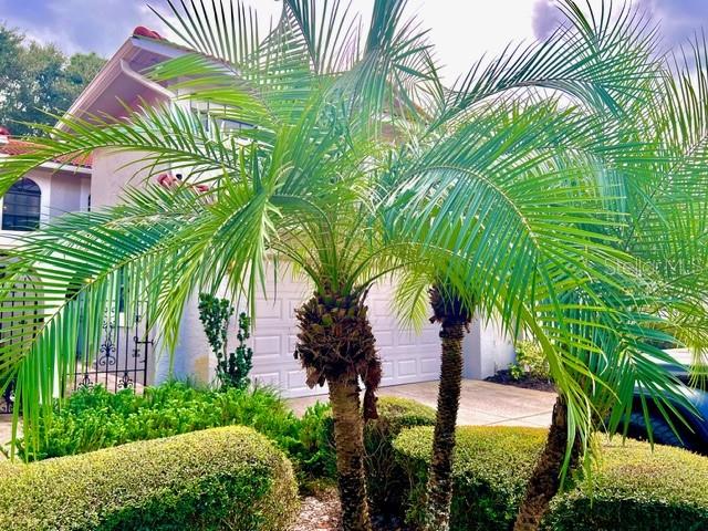 8214 AMBROSE COVE WAY, Orlando, FL 32819 8214 AMBROSE COVE WAY, Orlando, FL 32819