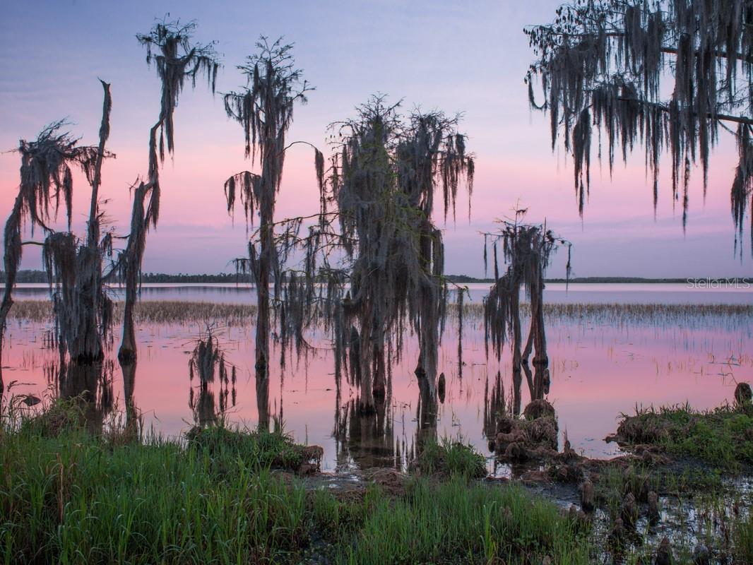 Lake Nona Lake Nona