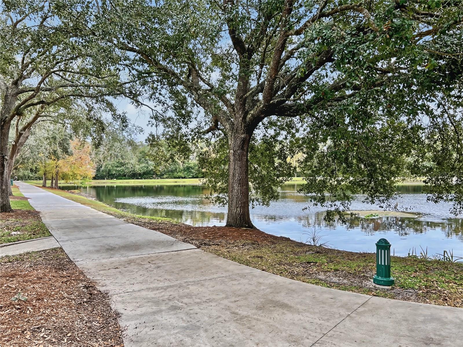 839 LAKE EVALYN DRIVE, Celebration, FL 34747