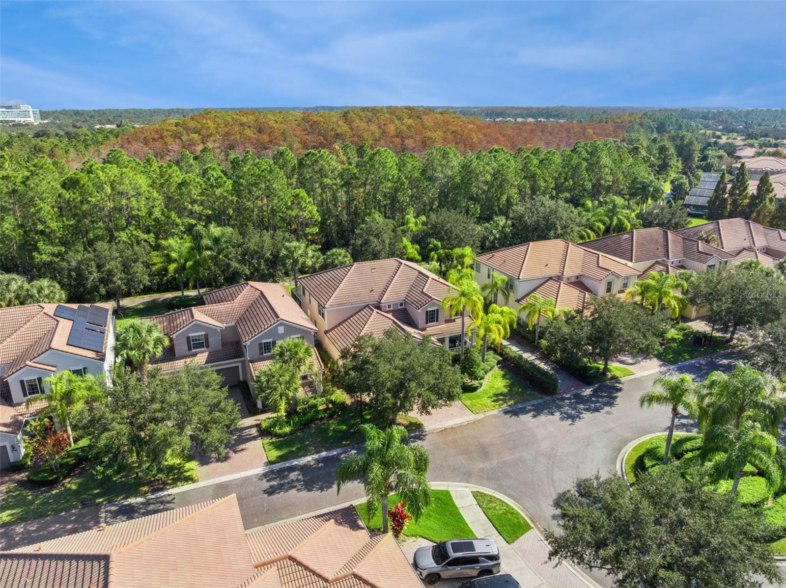 7991 ESTA LANE, Orlando, FL 32827