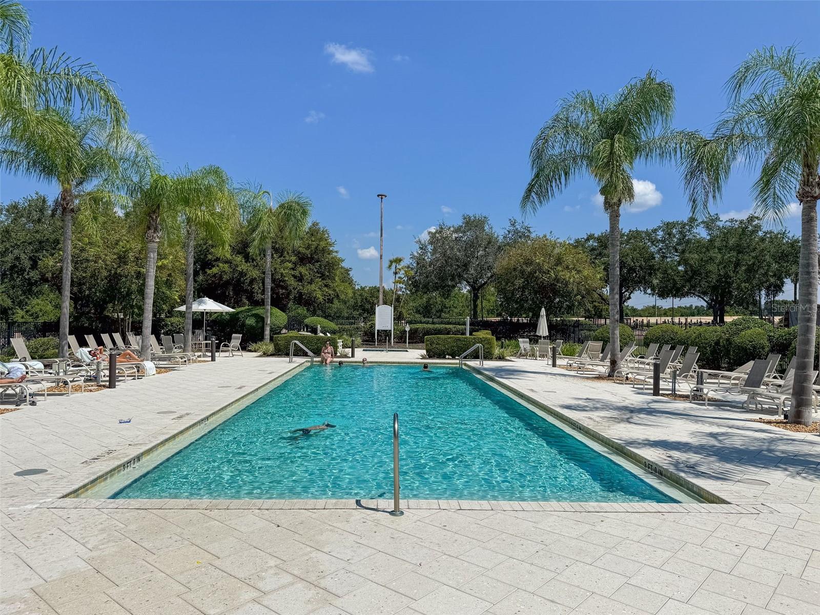 811 ASSEMBLY COURT, Reunion, FL 34747