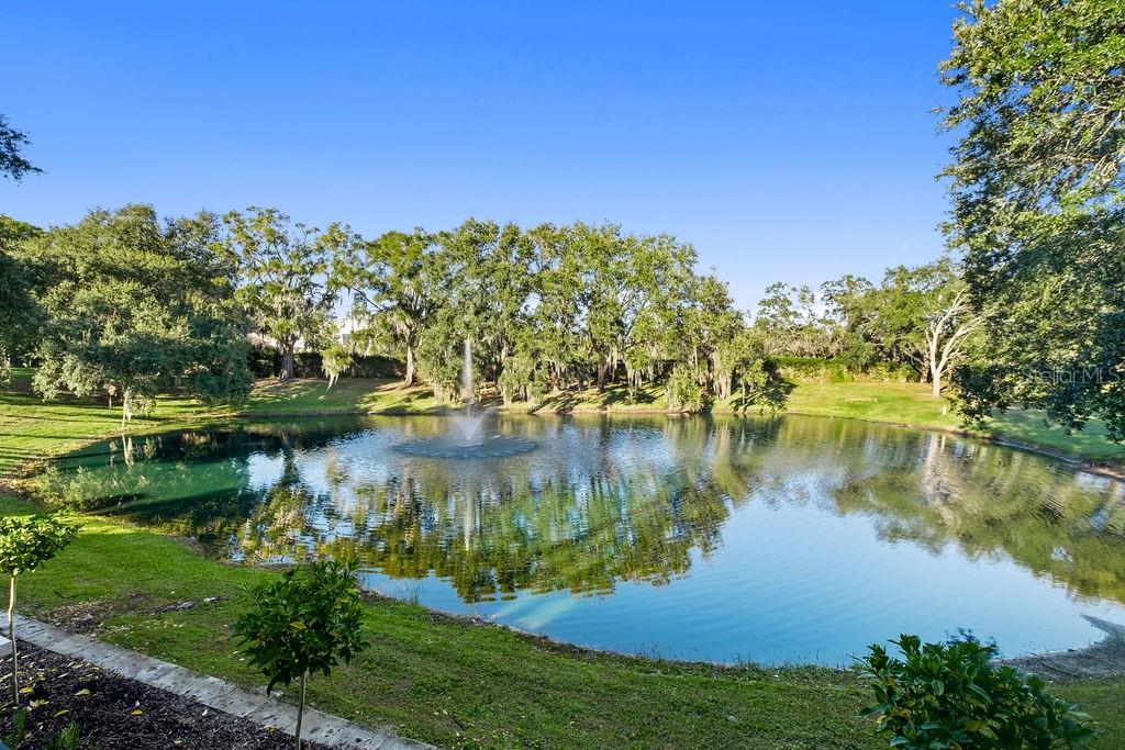 9725 CHESTNUT RIDGE DRIVE, Windermere, FL 34786