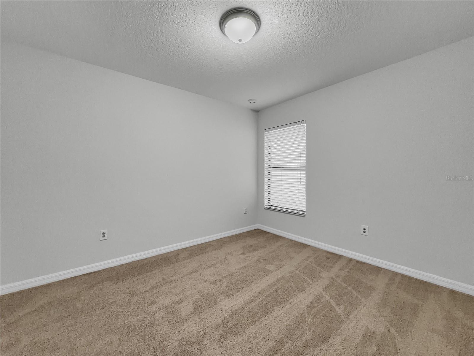 10113 ROSEMARY LEAF LANE, Riverview, FL 33578