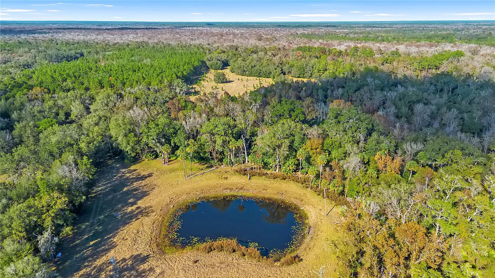 27737 COUNTY ROAD 44A, Eustis, FL 32736