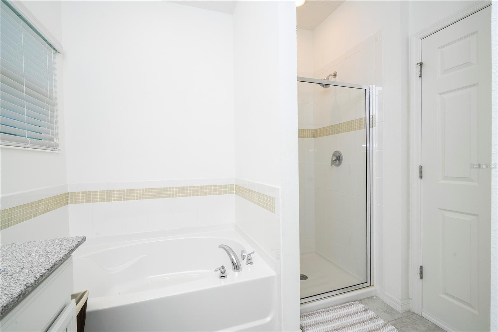 8225 BRYCE CANYON AVENUE, Windermere, FL 34786
