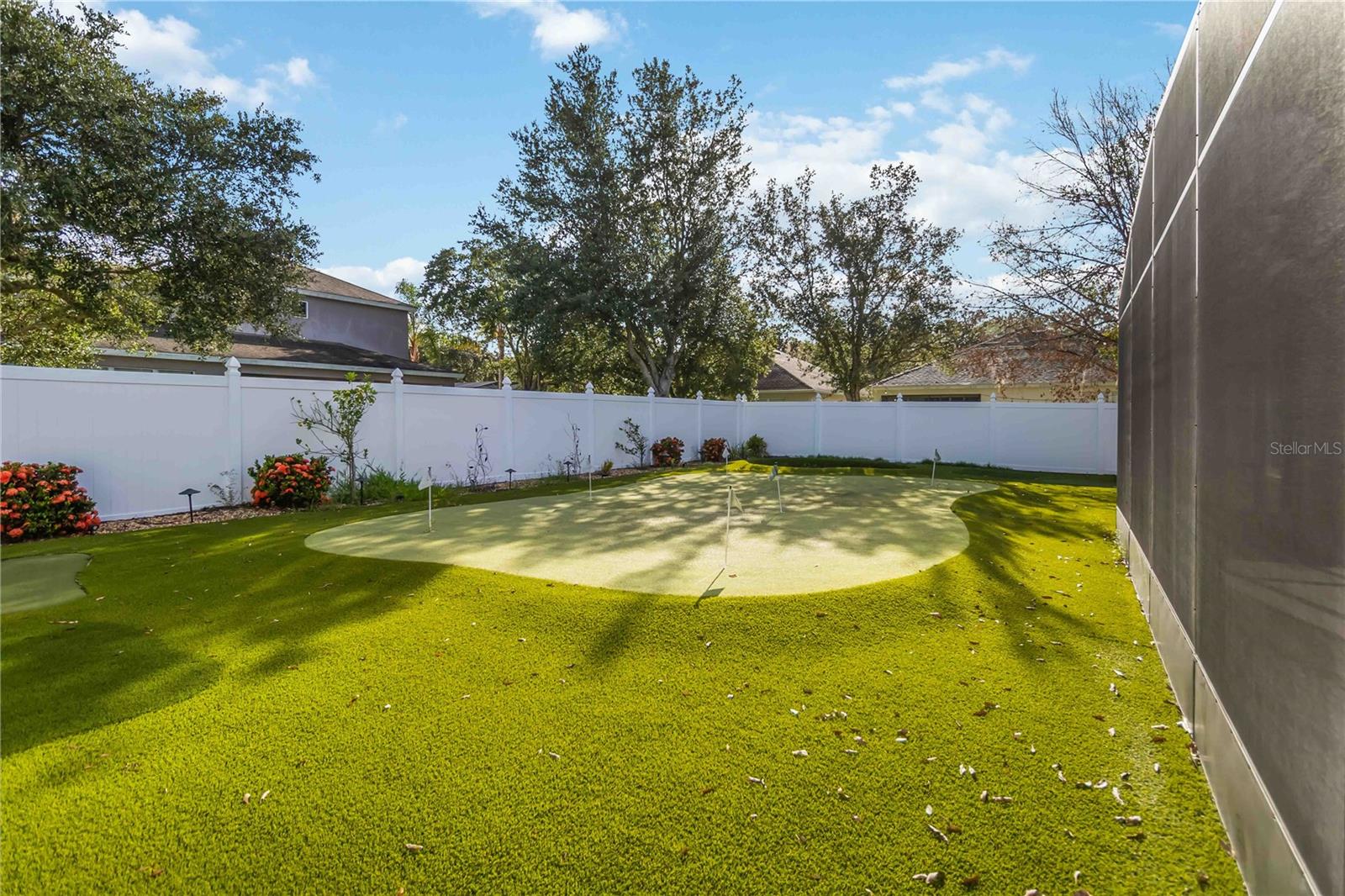 Golf Turf Backyard