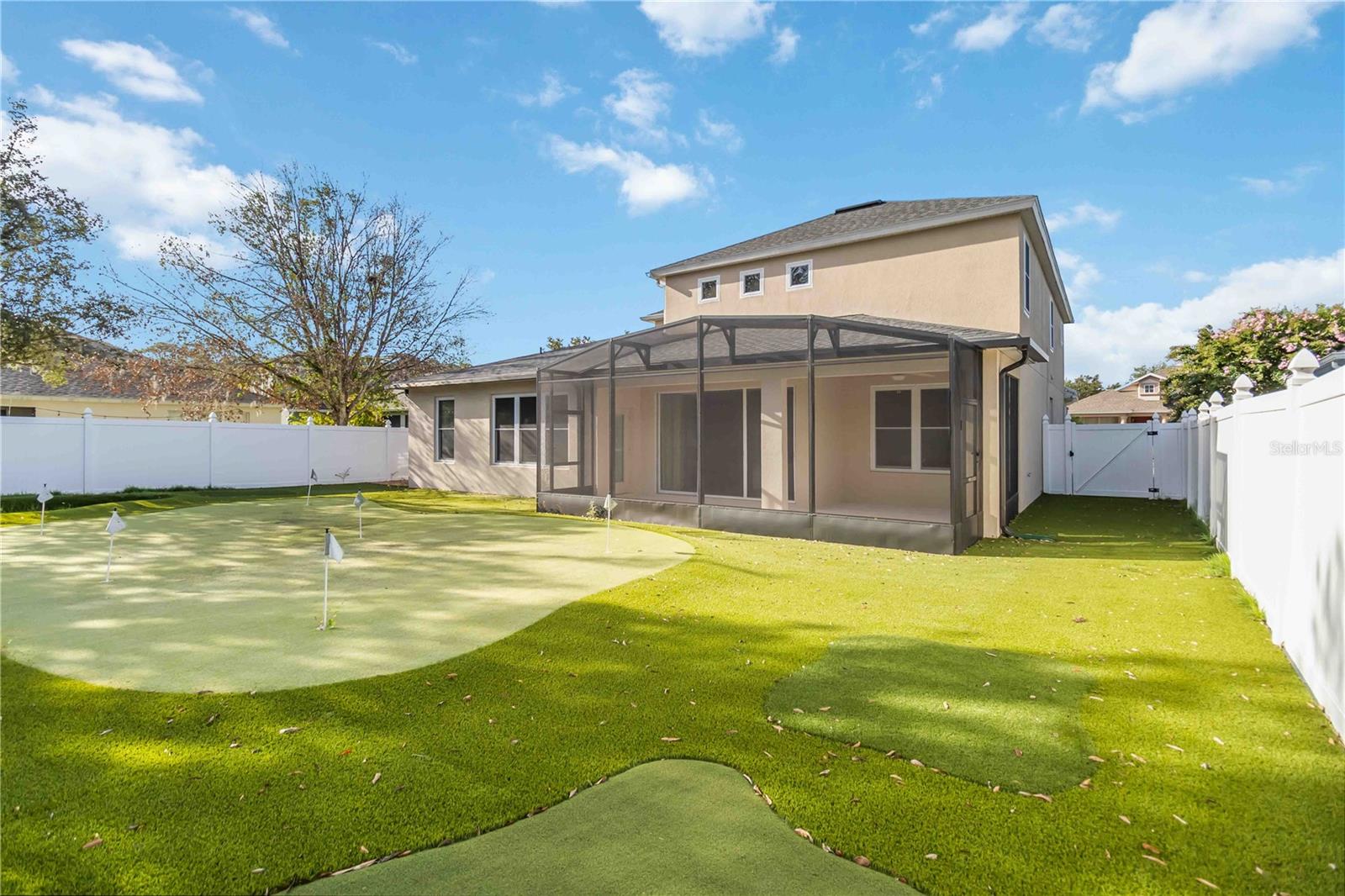 Golf Turf Backyard