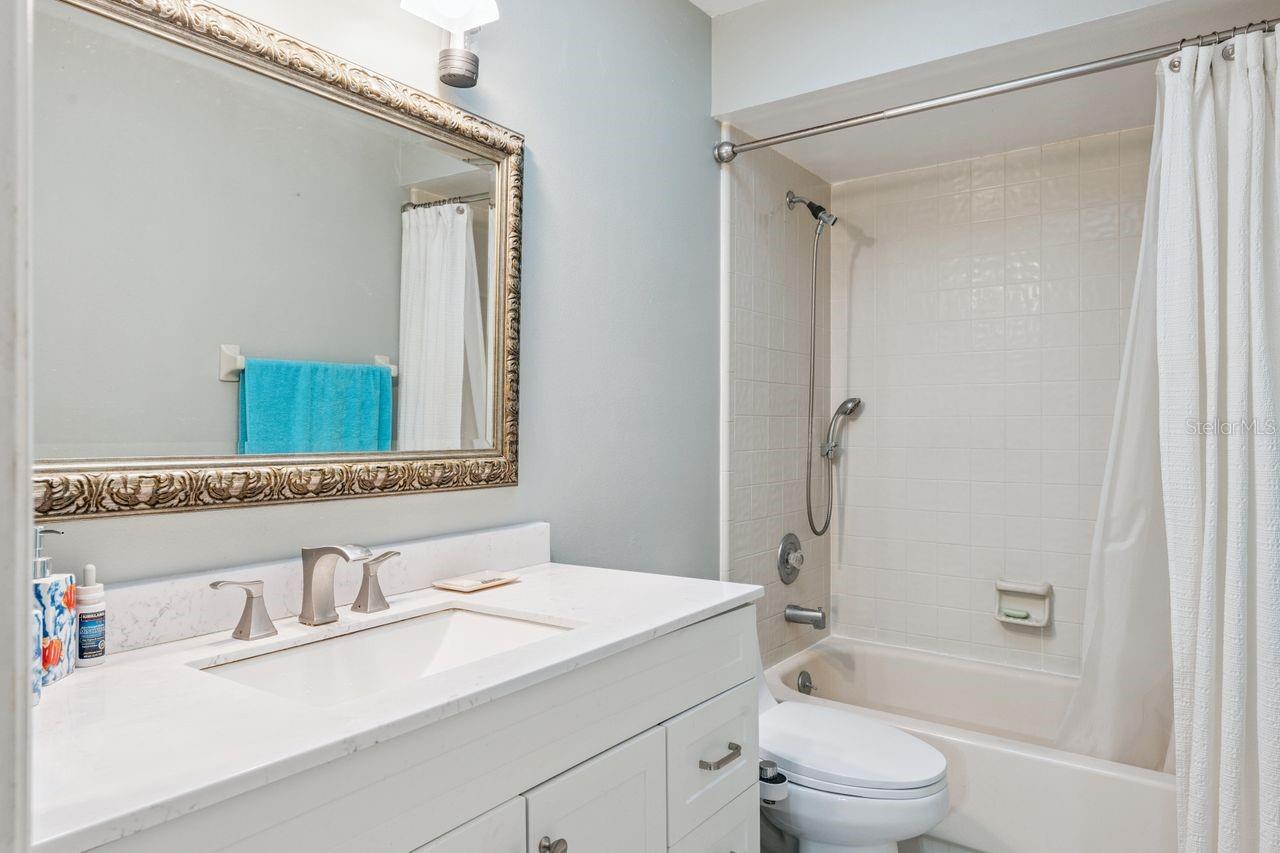 Guest bath Guest bath