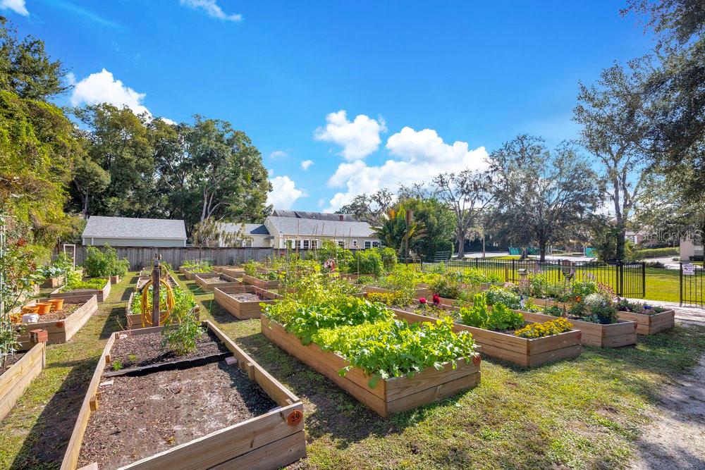 1008 E ROBINSON, Orlando, FL 32801
