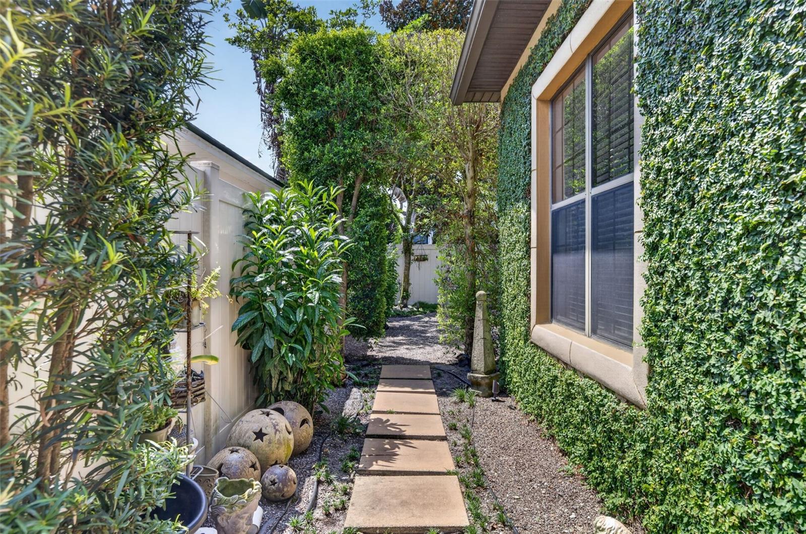 Pathway to backyard